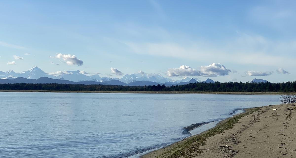 View from Gustavus Beach looking out over the ocean with the snow capped mountains in the background.